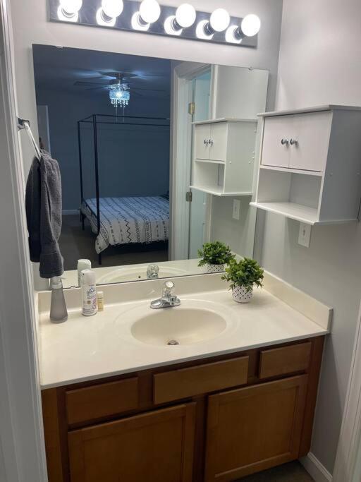 Simple Elegant Townhouse Dt Raleigh Ncsuアパートメント エクステリア 写真