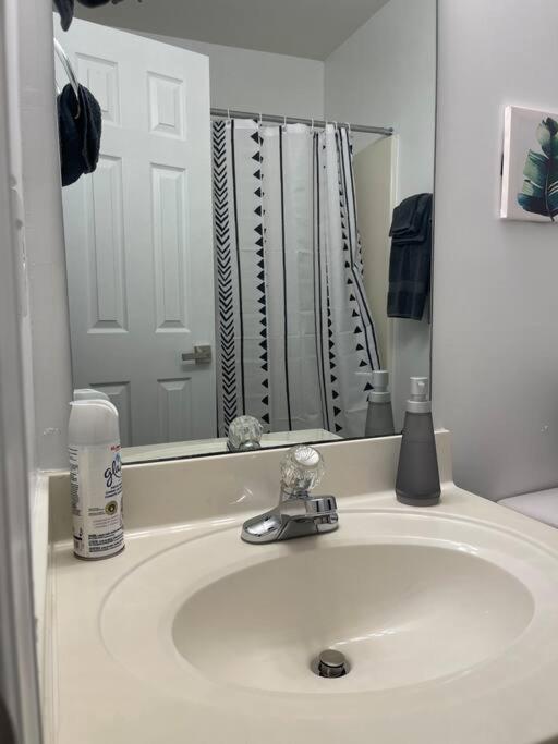 Simple Elegant Townhouse Dt Raleigh Ncsuアパートメント エクステリア 写真